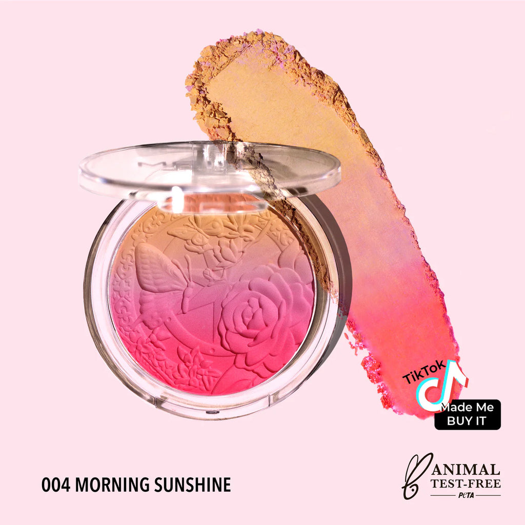 Signature Ombre Blush - Moira Beauty