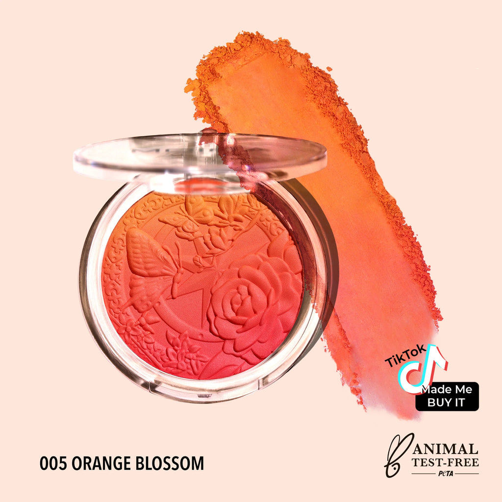 Signature Ombre Blush - Moira Beauty