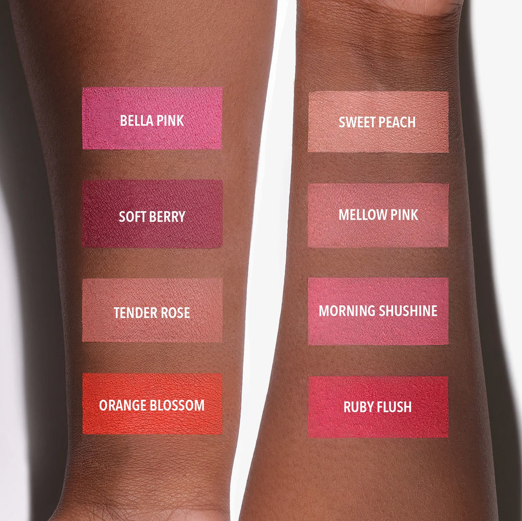 Signature Ombre Blush - Moira Beauty