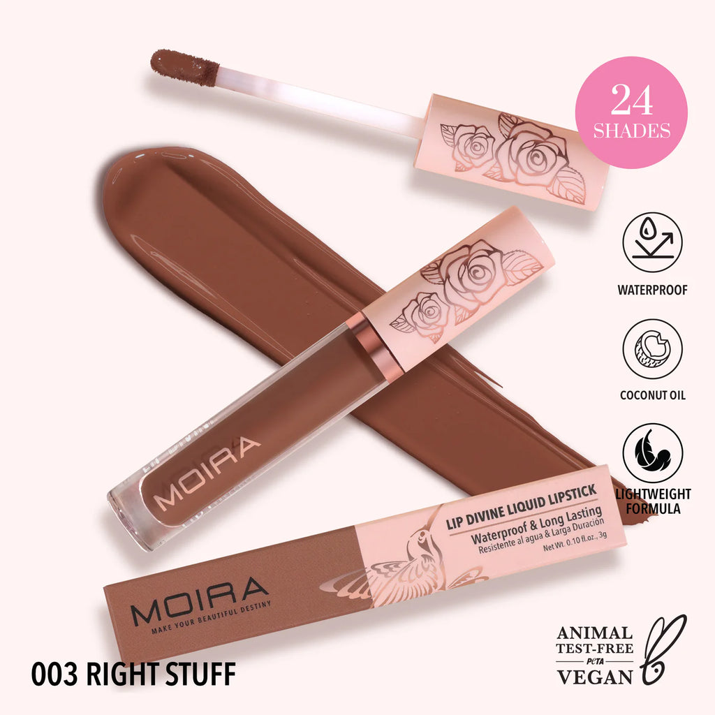 Lip Divine Liquid Lipstick - Moira Beauty